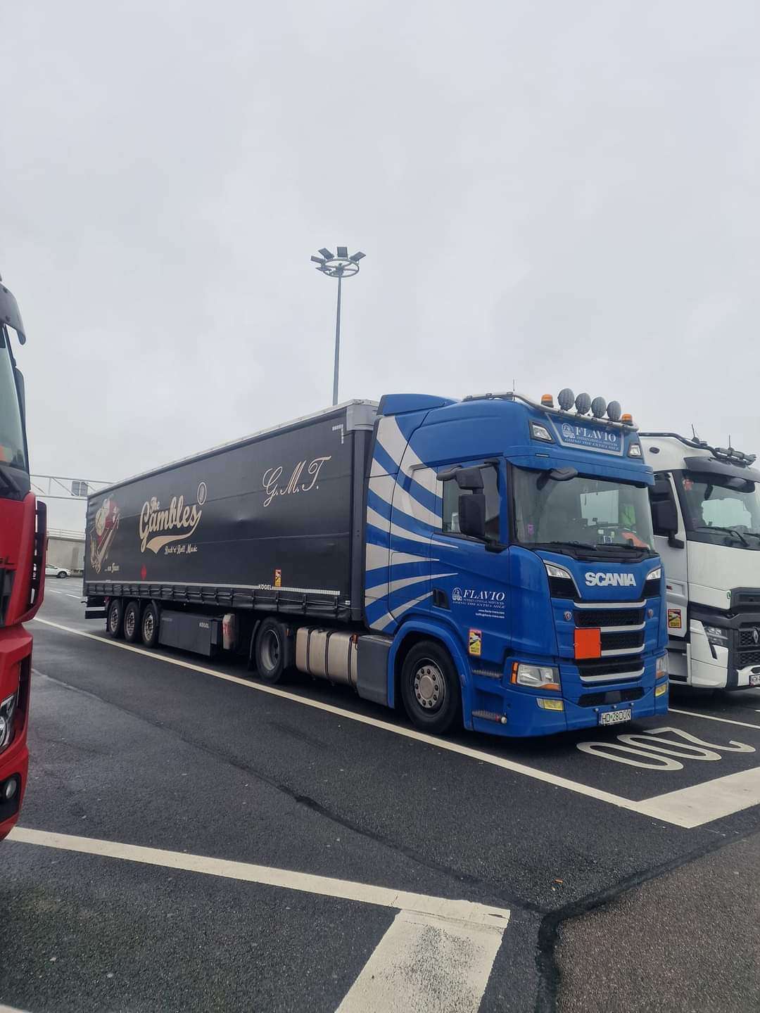 Flavio blue Scania truck in parking area